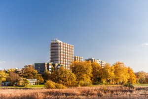 Modulare Flüchtlingsunterkünfte im Falkenhagener Feld