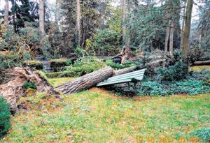 Millionenschaden durch Sturm Xavier