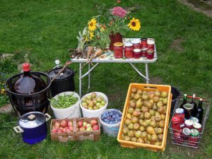 Gemeinsam Gärtnern & Genießen im Falkenhagener Feld im Mai